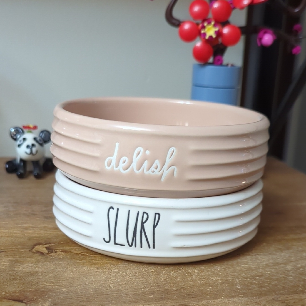 Rae Dunn  Ceramic Pet Bowl Set
